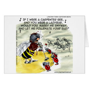 Insect Nightclub Singers Funny