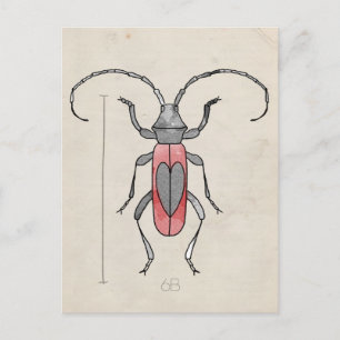 Insect Series Red Beetle Postcard