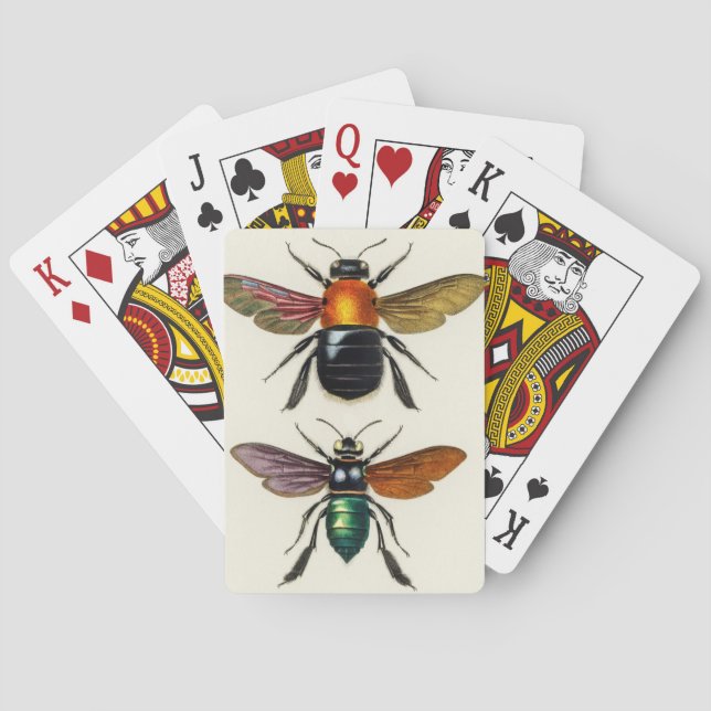 Insect vintage illustrated playing cards (Back)