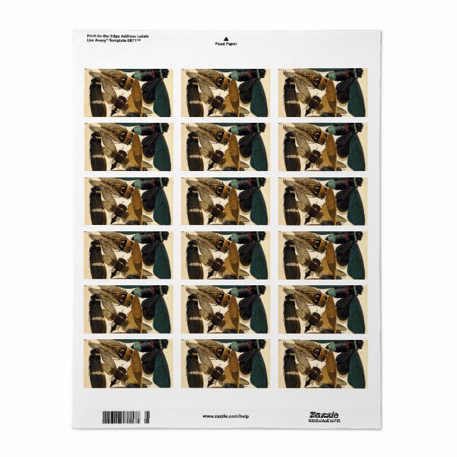 Insectes, Insects, Plate No.1 by E. A. Seguy Label (Full Sheet)