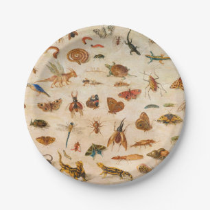 Insects, Amphibians and Shells by Jan van Kessel Paper Plate