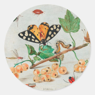 Insects and fruits - Jan van Kessel Classic Round Sticker