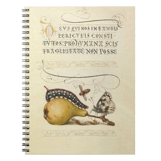 Insects Bee Butterfly Caterpillar Art Illustration Notebook (Front)