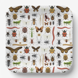 Insects Bugs Paper Plate