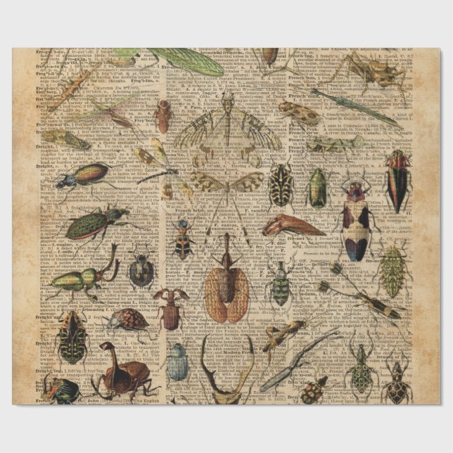 Insects Bugs Vintage Illustration Dictionary Art Wrapping Paper (Flat)