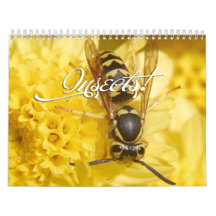 Insects Calendar