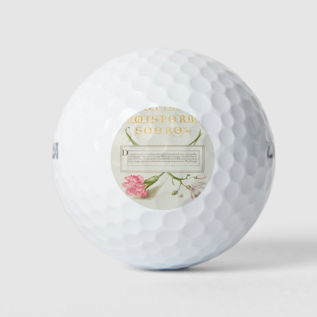 Insects, Carnation, and Judas Tree from Mira Calli Golf Balls (Front)