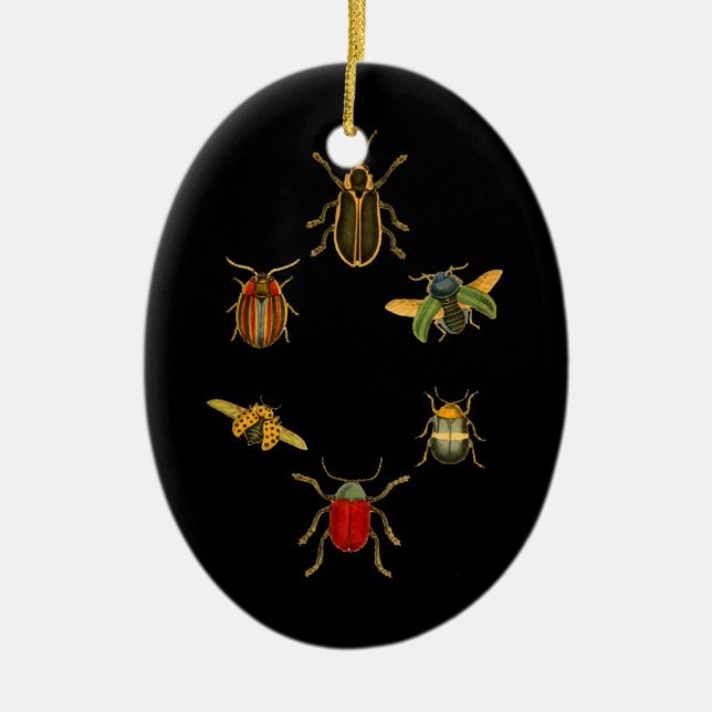 Insects Ceramic Tree Decoration (Front)