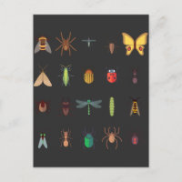 Insects Collection Drawing Cute Entomology