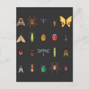 Insects Collection Drawing Cute Entomology Postcard