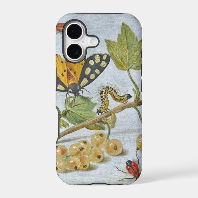 Insects Crawling (Back)