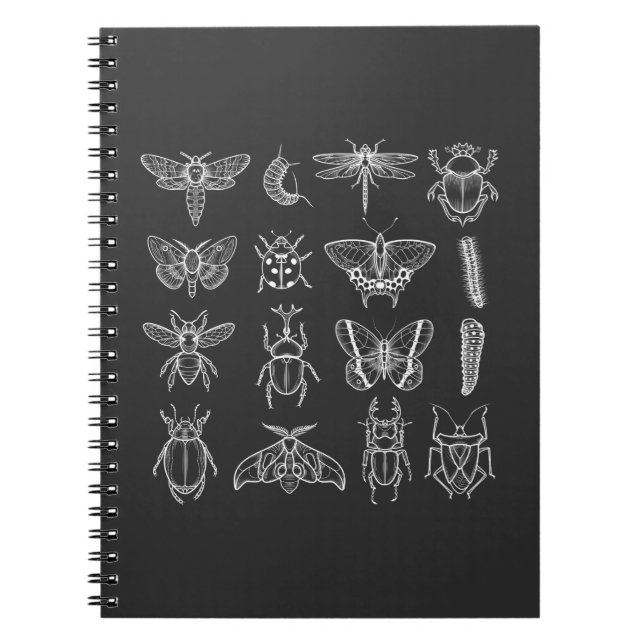 Insects Funny Entomologist Bug Catcher Entomology Notebook (Front)