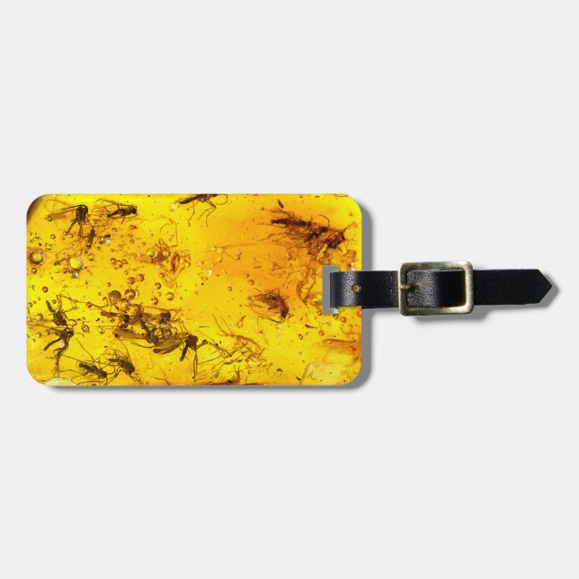 Insects in amber luggage tag (Front Horizontal)