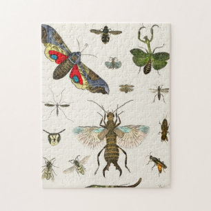 insects, insect, nature, butterfly, bugs, bee jigsaw puzzle