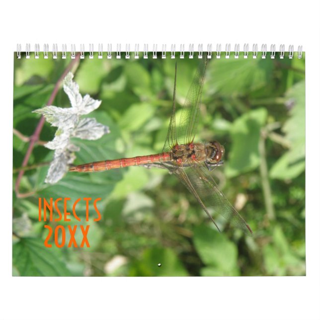Insects Personalised Calendar (Cover)