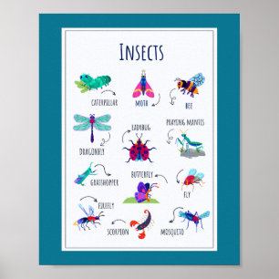 Insects School Education Learning Poster