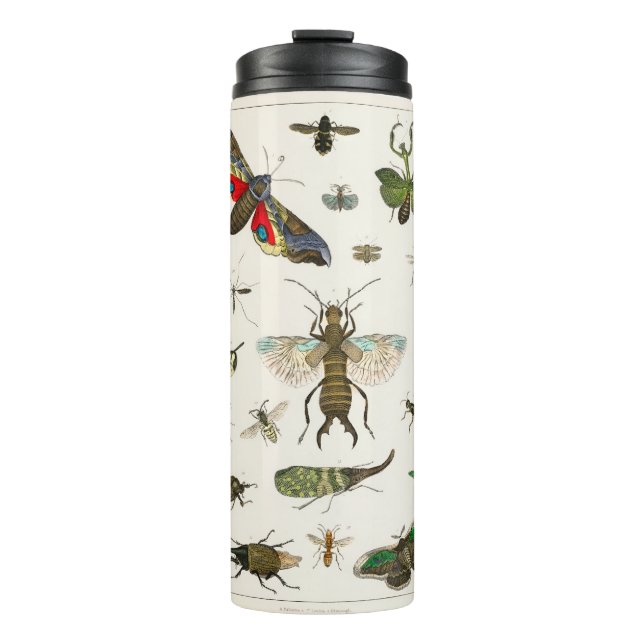 Insects Thermal Tumbler (Front)