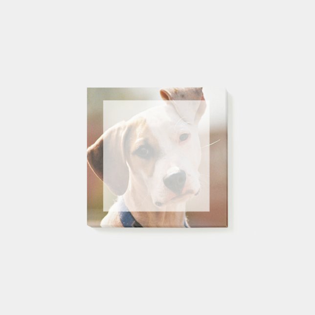 Insert your own pet photo- square post-it notes (Front)