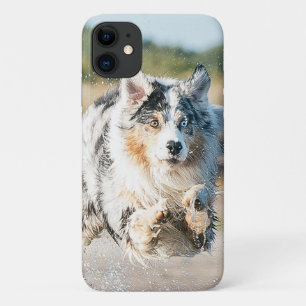 Insert Your Own Photo of Your Australian Shepherd iPhone 11 Case