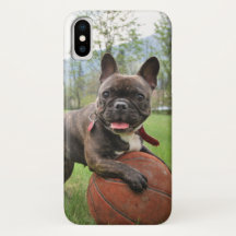 Insert Your Own Photo of Your French Bulldog