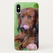 Insert Your Own Photo of Your LongHaired Dachshund