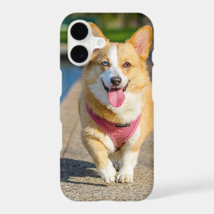 Insert Your Own Photo of Your Pembroke Welsh Corgi