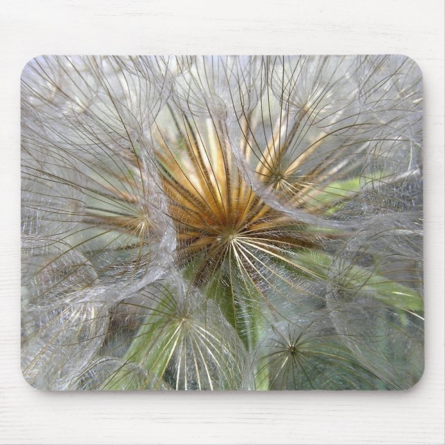 Inside A Dandelion Clock Mouse Mat (Front)