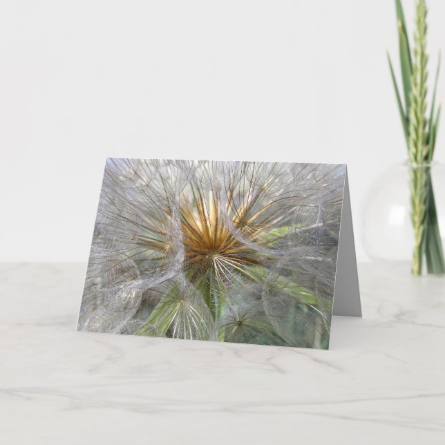 Inside A Dandelion Clock Photograph Blank Inside Thank You Card (Front)