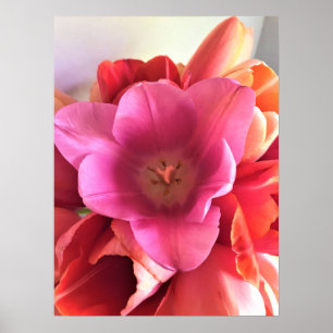 Inside a Pink Tulip Poster