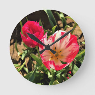 Inside a Pink & White Tulip Round Clock