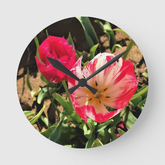 Inside a Pink & White Tulip Round Clock (Front)