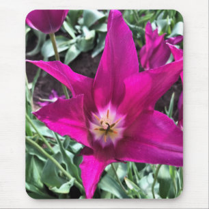Inside a Purple Dream Tulip Mouse Mat