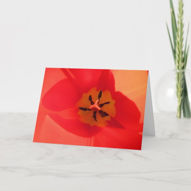 Inside a Tulip Card (Front)