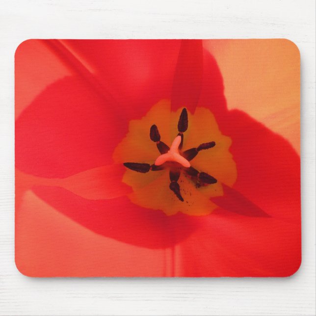 Inside a Tulip Mouse Mat (Front)