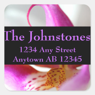 Inside a White Orchid Wedding Return Address Label