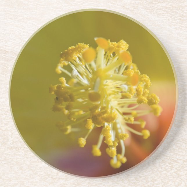 Inside a Yellow Hawaiian Hibiscus Coaster (Front)