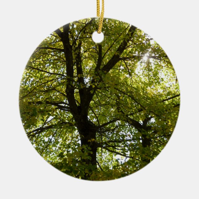 Inside a Yellow Maple Tree Autumn Ceramic Tree Decoration (Front)