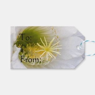 Inside of a white cactus in bloom gift tags