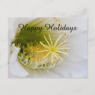Inside of a white cactus in bloom holiday postcard