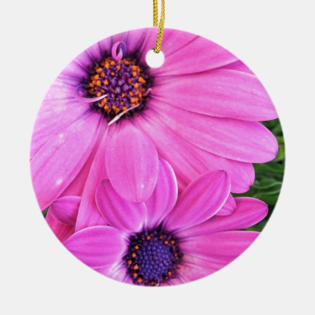 Inside of Pink Purple Gerbera Daisy Flower Nature Ceramic Tree Decoration (Front)