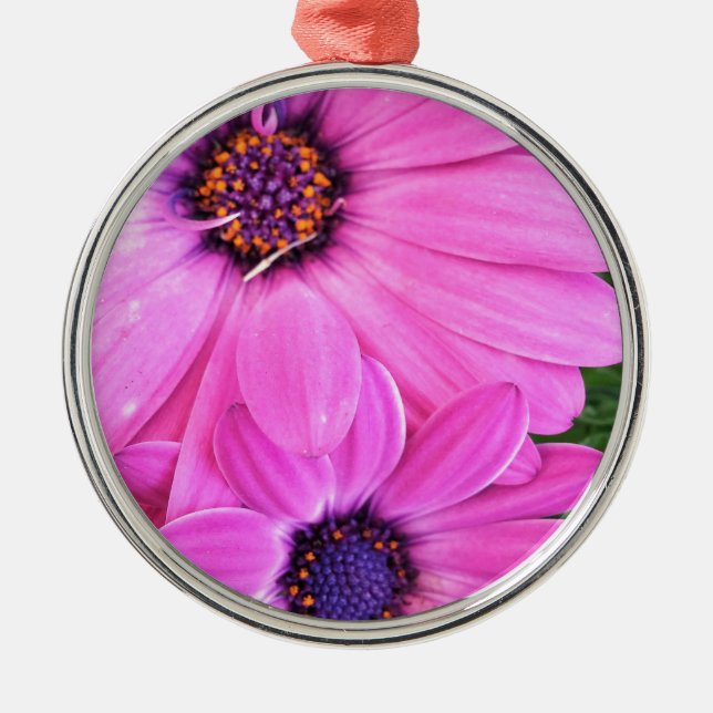 Inside of Pink Purple Gerbera Daisy Flower Nature Metal Tree Decoration (Front)