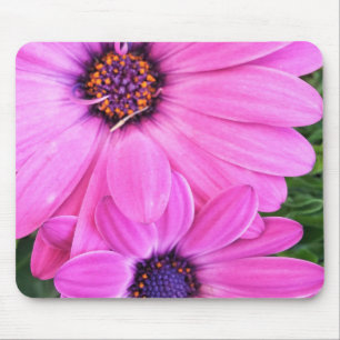Inside of Pink Purple Gerbera Daisy Flower Nature Mouse Mat
