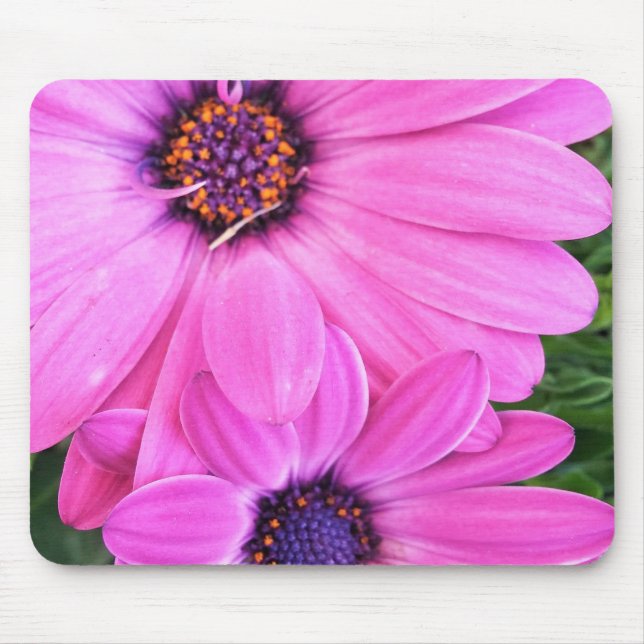 Inside of Pink Purple Gerbera Daisy Flower Nature Mouse Mat (Front)