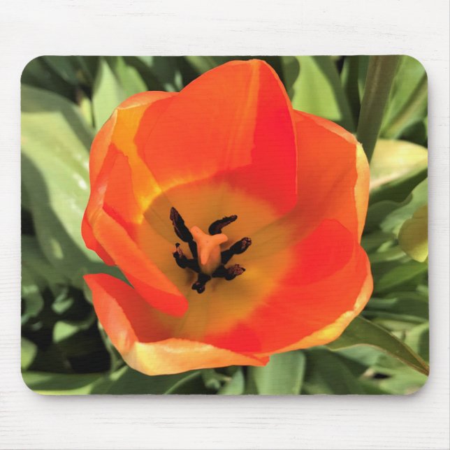 Inside Orange Tulip Mouse Mat (Front)