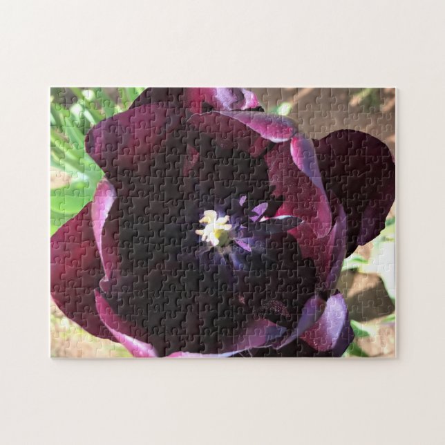 Inside Queen of the Night Tulip Jigsaw Puzzle (Horizontal)