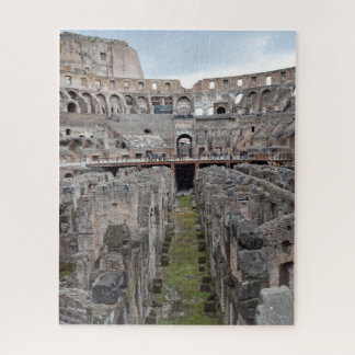 Inside the Colosseum - Rome - 16x20 - 520 pcs Jigsaw Puzzle