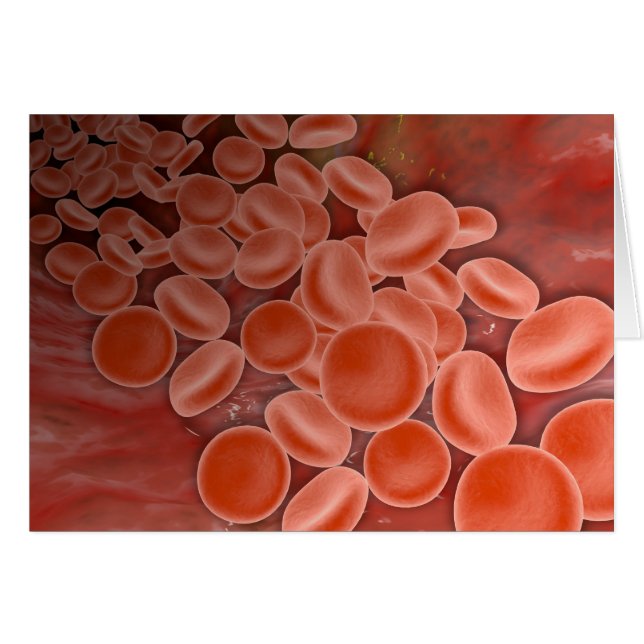 Inside View Of The Artery With Red Blood Cells (Front Horizontal)