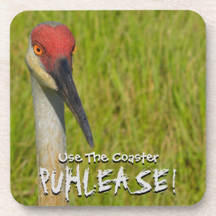 Insistent Sand Hill Crane Coaster