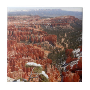 Inspiration Point at Bryce Canyon I Tile