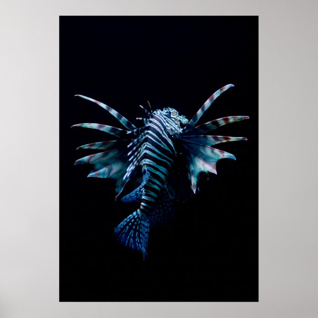 Inspiration Poster (Front)